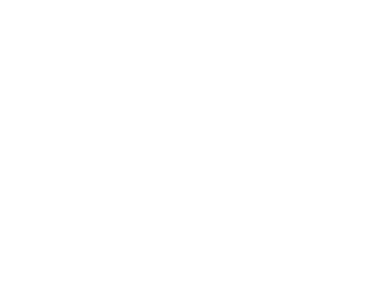 Pro Specialty Services logo